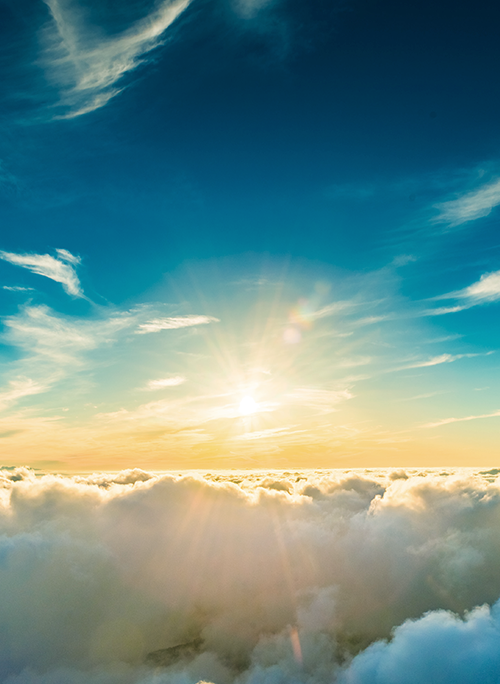 青空の下で君の優しさに絆される。