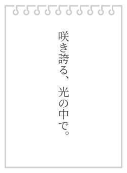 咲き誇る、光の中で。