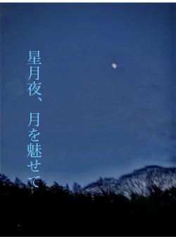 星月夜、月を魅せて