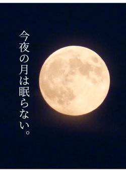 今夜の月は眠らない。