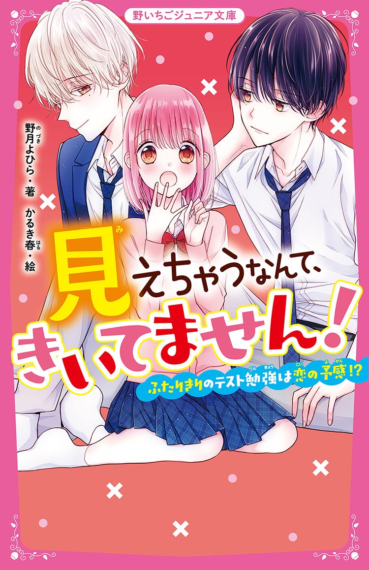 野いちご ケータイ小説まとめ売り（＾ν＾） - 文学・小説