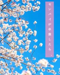 切甘 の作品一覧 人気順 野いちご 無料で読めるケータイ小説 恋愛小説