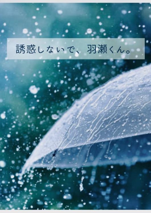 誘惑しないで、羽瀬くん。