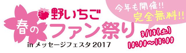 野いちごファン祭り2017